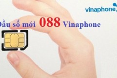 Rất khó để sở hữu số điện thoại 'Vàng' 088 của Vinaphone