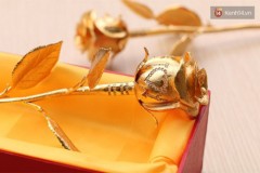 Chi 250 triệu mua hoa hồng vàng đính 83 viên kim cương dịp 8/3
