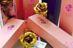 Quà tặng độc lạ 8/3 giá rẻ ở Sài Gòn