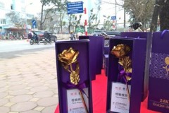 Bông hồng 'vàng 24K' siêu rẻ đổ bộ vỉa hè Hà Nội