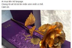 Hoa hồng mạ vàng giá 100k cháy hàng dịp 8/3
