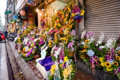 Nhiều loại hoa bắt đầu tăng giá dịp 8/3