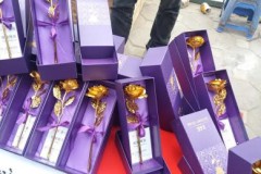 Bông hồng 'vàng 24k' tràn làn vỉa hè Hà Nội gây loạn giá