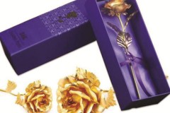 Những món quà tặng 8/3 độc đáo, hấp dẫn