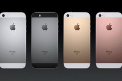 Có khi nào iPhone SE được làm từ chính linh kiện thừa của iPhone 6s?