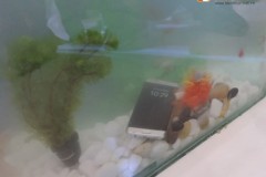 Dân sành mổ xẻ điều Galaxy S7 làm được còn iPhone bó tay