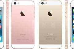 Apple có phải ‘gã khờ’?