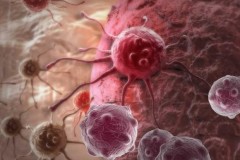 Kết hợp 2 phương pháp truyền thống, các nhà khoa học có thể đánh bại ung thư