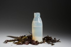Ý tưởng chai nước làm từ thạch, phân hủy ngay sau khi sử dụng