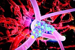 Thuốc điều trị ung thư dạng hướng đích của Việt Nam