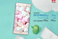 Hướng dẫn cập nhật Android 6.0 và EMUI 4.0 cho Huawei P8 Lite