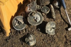 Thám hiểm Nam Cực, phát hiện 1 tấn hoá thạch khủng long