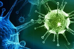 IBM thành công trong việc tạo ra một đại phân tử có thể tiêu diệt mọi loại virus