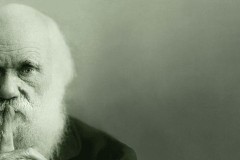 7 lý do vì sao người lười có khả năng thành công cao hơn