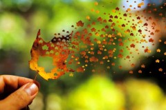 Hạnh phúc đơn giản lắm, chỉ cần học cách quên và tha thứ thôi