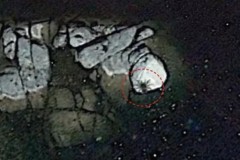 Google Earth phát hiện sinh vật khổng lồ ở ngoài khơi Mexico