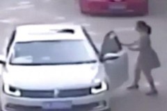 Clip hổ dữ vồ chết người phụ nữ trong công viên Trung Quốc