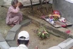 Chuối bị chặt vẫn trổ 6 bắp hoa, người dân khấn vái vì cho là 'chuối thần'