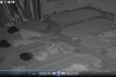 Sốc: Cảnh trẻ 5 tuổi làm chuyện ấy ngay trong lớp học mẫu giáo gây hoang mang