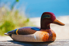 Tăng gấp đôi doanh thu với 3 mẹo đặt giá từ “Hiệu ứng chim mồi”