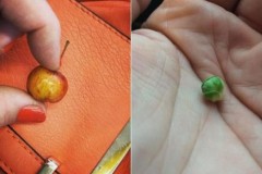 17 loại rau quả bé xinh, nhìn thấy là yêu ngay