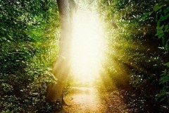 Các nhà khoa học xác nhận "thế giới bên kia" có thực