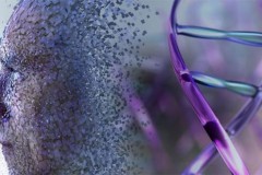 Cảnh sát có thể phác thảo mặt nghi phạm từ DNA