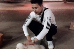 Chàng trai để bạn gái giữa đường, chở chó bị thương đi viện