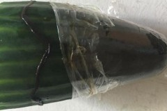 Chàng trai viết thư cho siêu thị khi phát hiện sâu bọ trên dưa leo, câu trả lời khiến ai cũng bật cười