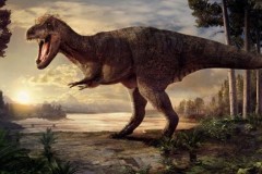 Khủng long bạo chúa được cấp hộ chiếu Hà Lan