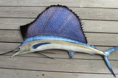 Lộ ảnh thật của Goolge Nexus Sailfish: thiết kế đẹp lạ từ kim loại và kính