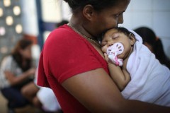 Singapore xác nhận 41 trường hợp nhiễm virus Zika
