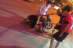 Thờ ơ, tàn nhẫn với động vật gặp nạn: Biểu hiện của tính ích kỷ và thù hận cá nhân