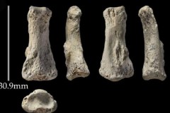 Tìm thấy xương “ngón tay thối” 9 vạn tuổi ở Ả Rập Saudi