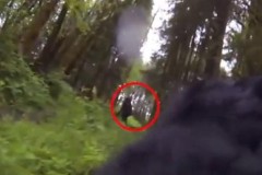 Video: Quay được hình ảnh quái vật Bigfoot ở rừng?