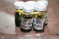 Ăn mật động vật chữa bệnh: Tiền mất tật mang