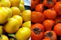 Cách phân biệt hồng Việt Nam và hồng Trung Quốc chuẩn không cần chỉnh