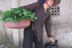 Đắng cay người mẹ nghèo mang mớ rau miếng thịt lên thành phố, bị con gái xua đuổi