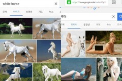 Sự thật gây sốc khi tìm kiếm cùng 1 từ khóa bằng tiếng Anh và tiếng Hàn trên Google