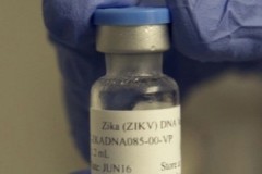 Thử nghiệm hai vắc xin ngừa virus Zika cho kết quả khả quan
