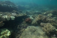 5 thành phố cổ được phát hiện sau hàng nghìn năm mất tích