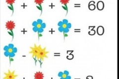 Bài toán bông hoa gây tranh cãi cộng đồng