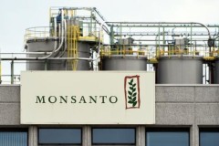 Bayer mua lại công ty sản xuất chất độc da cam Monsanto với giá 66 tỷ USD