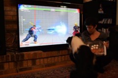 Choáng với chú chó chơi Street Fighter siêu bá đạo