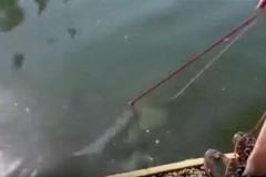 Cột dây vào nam châm ném xuống sông, vớt được cả 1 chiếc xe máy