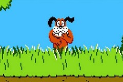 Game bắn vịt và những điều bạn chưa bao giờ biết