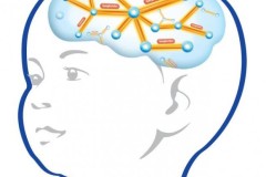 Não người phát triển nhanh nhất sau khi sinh