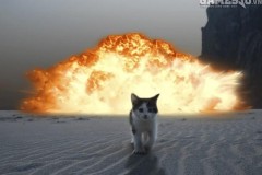 Nghệ thuật tinh tế của việc "Không quan tâm"