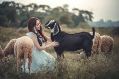Ngỡ ngàng trước bộ ảnh mộng mơ của cô gái xinh đẹp bên cừu