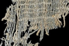 Người châu Mỹ dùng thuốc nhuộm sớm nhất thế giới